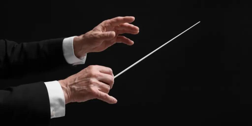 orchestra director hands